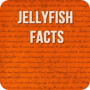 Jellyfish Facts