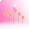 HD Live Wallpaper Flowers