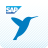 SAP Anywhere