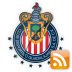 Chivas News