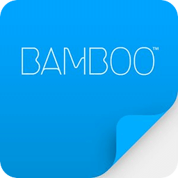 Bamboo Paper