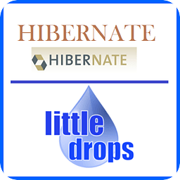 Learn Hibernate (Offline...