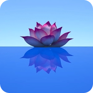 Exotic Lotus HD Live wallpaper