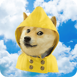 Doge Weather