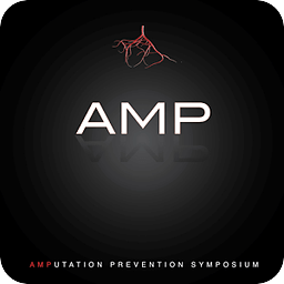 AMP 2012