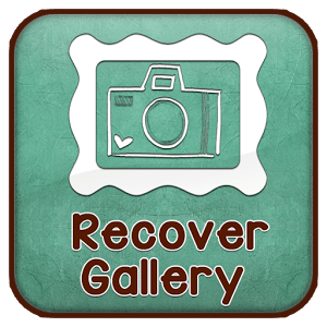 Recover Gallery Guide