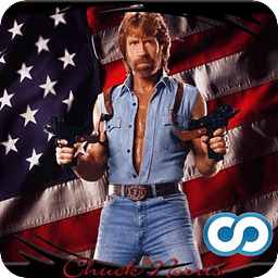 Chuck Norris Fun