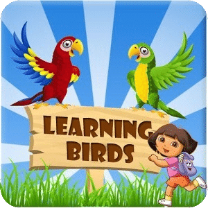 Learning Birds