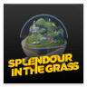 SPLENDOUR IN THE GRASS 2012