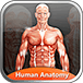 Human Anatomy Explorer