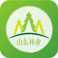 山东林业平台