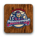 Williamsport Crosscutters