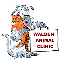 Walden AC