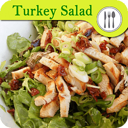 Turkey Salad Recipes