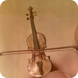 Worlds Smallest Violin