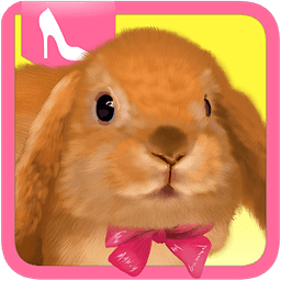 Cute Rabbit Dress Up