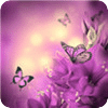 紫色梦幻蝴蝶动态壁纸锁屏