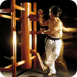 Wing chun Basice lessons