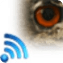 鸟瞰无线测试版