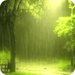 Rain In Green