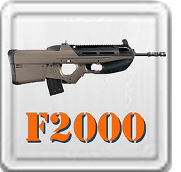 Weapon Sounds: F2000