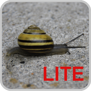 Snail Trail GPS Tracker Lite