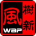 树新风WAP版