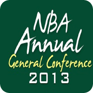 NBA AGC 2013