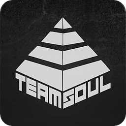 Team Soul