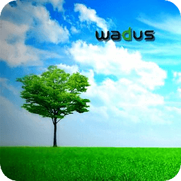 Wadus Analyse WP