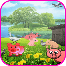 Pig Game for Kids