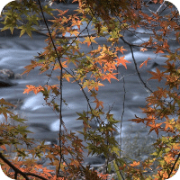 Beautiful scenery of Japan vol.3