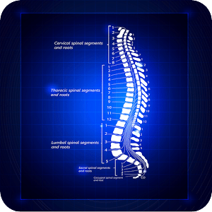 Dr Prieto Chiropractic