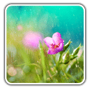 唯美落雨动态壁纸