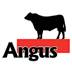 Angus Beef Australia