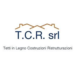 Costruzioni Tetti in Legno