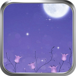 紫夜-绿豆动态壁纸