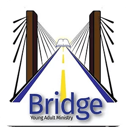 Bridge Young Adult Minis...