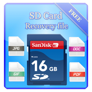 SD Card Recovery File