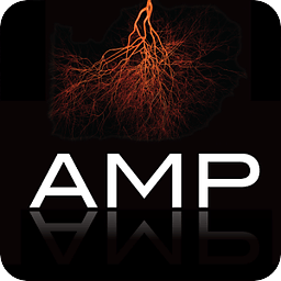 AMP 2014