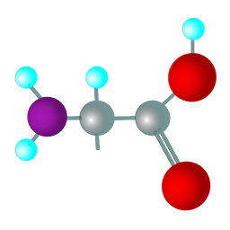 Amino Acid Memorizer