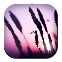 Xperia Z Nature Wallpaper