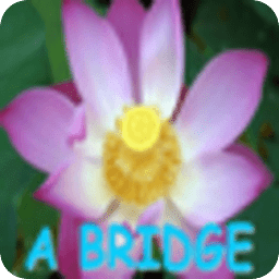 A Bridge音乐专辑