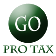 Go Pro Tax