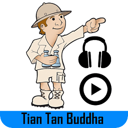 Tian Tan Buddha Tour Gui...