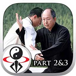 Yang Tai Chi for Beginne...