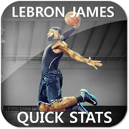 Lebron James Basketball Widget