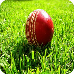 T20 Cricket