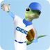 GEICO Baseball