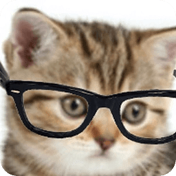 Crazy Hipster Cat